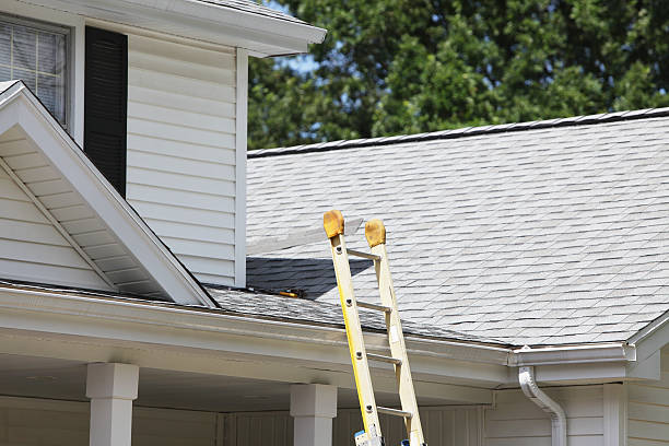 Best Hoarding Cleanup  in Rosemont, CA