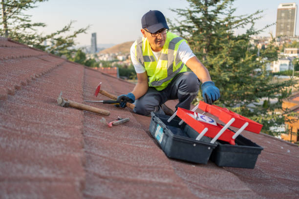 Best Construction Debris Removal  in Rosemont, CA